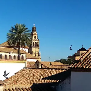 La Mirada De La Juderia Cordoba